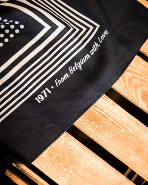 Vue pliée écharpe Babette coton bleu qualité