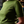 Carla Ladies Top Green